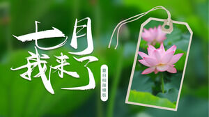 Am venit să descarc șablonul PPT pentru iulie cu o frunză de lotus verde și fundal de lotus roz