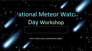 National Meteor Watch Day Workshop