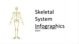 Infografica del sistema scheletrico