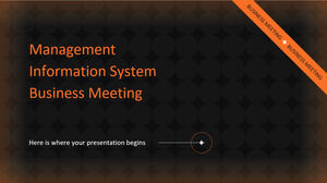 Reunión de negocios del sistema de información de gestión