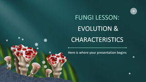 Lezione sui funghi: evoluzione e caratteristiche