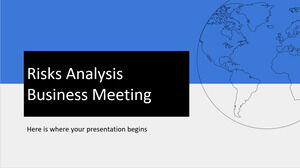 Risks Analysis Business Meeting