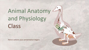 Kelas Anatomi dan Fisiologi Hewan
