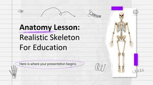 Lezione di anatomia: scheletro realistico per l'istruzione