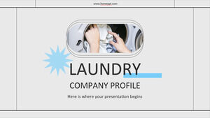 Perfil da empresa de lavanderia