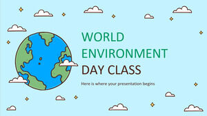 세계 환경의 날 수업