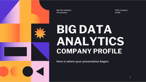 Profil de la société Big Data Analytics