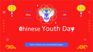 Journée de la jeunesse chinoise
