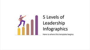 5 níveis de infográficos de liderança