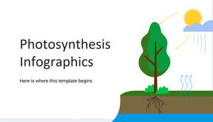 Infografis Fotosintesis