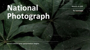 Nationaler Monat der Fotografie in den USA