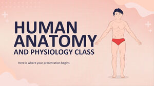 人體解剖學和生理學課程