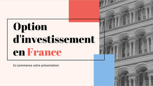 خيار الاستثمار في فرنسا
