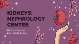 Nieren: Nephrologiezentrum