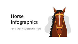 Horse Infographics