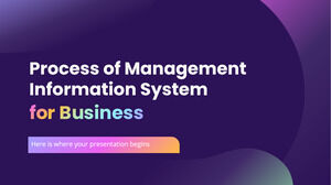 Prozess des Managementinformationssystems für Unternehmen