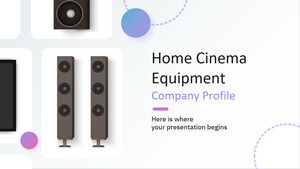 Echipamente Home Cinema Profilul companiei