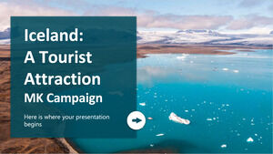 아이슬란드: 관광지 MK 캠페인