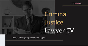 Currículo de Advogado de Justiça Criminal