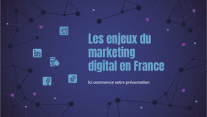 Les enjeux du marketing digital en France