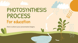 Photosyntheseprozess für Bildung