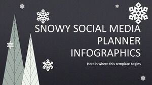 白雪皚皚的社交媒體規劃信息圖表