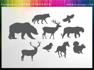 Download 9 sets of vector colorable animal silhouette PPT materials