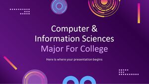 สาขาวิชาวิทยาการคอมพิวเตอร์และสารสนเทศสำหรับวิทยาลัย
