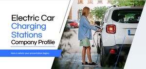 Electric Car Charging Stations Company Profile