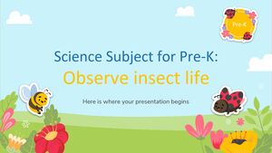 Matière scientifique pour la maternelle : Observer la vie des insectes