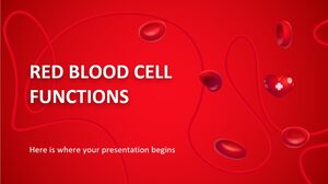 การทำงานของเซลล์เม็ดเลือดแดง