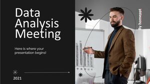 Data Analysis Meeting