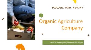 Perusahaan Pertanian Organik