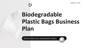Plan de afaceri pentru pungi de plastic biodegradabile