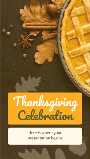 Thanksgiving Celebration IG Stories for Marketing
