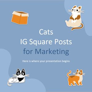 마케팅을 위한 Cats IG 스퀘어 포스트