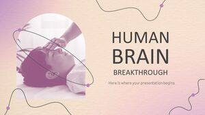 Percée du cerveau humain