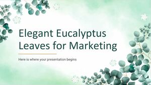Feuilles d'eucalyptus élégantes pour le marketing