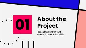 Continuare Propunere de Proiect