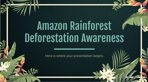 การให้ความรู้เรื่องการตัดไม้ทำลายป่าอเมซอน