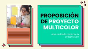 Multicolor Project Proposal Multicolor Project Proposal