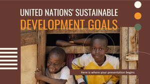 Objectifs de développement durable des Nations Unies