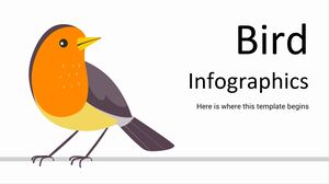 Infografică cu păsări