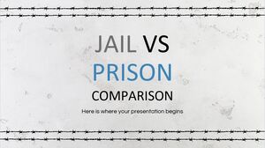 Comparație închisoare vs închisoare