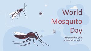 Journée mondiale des moustiques