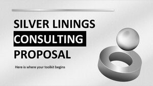 Propunere de consultanță Silver Linings