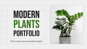 Modern Plants Portfolio