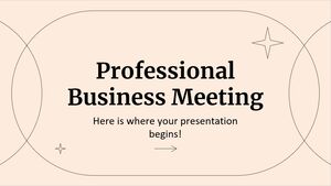 Reunión de negocios profesional