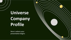 Profil de l'entreprise Flat Universe