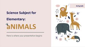 İlköğretim 2. Sınıf Fen Konusu: Hayvanlar